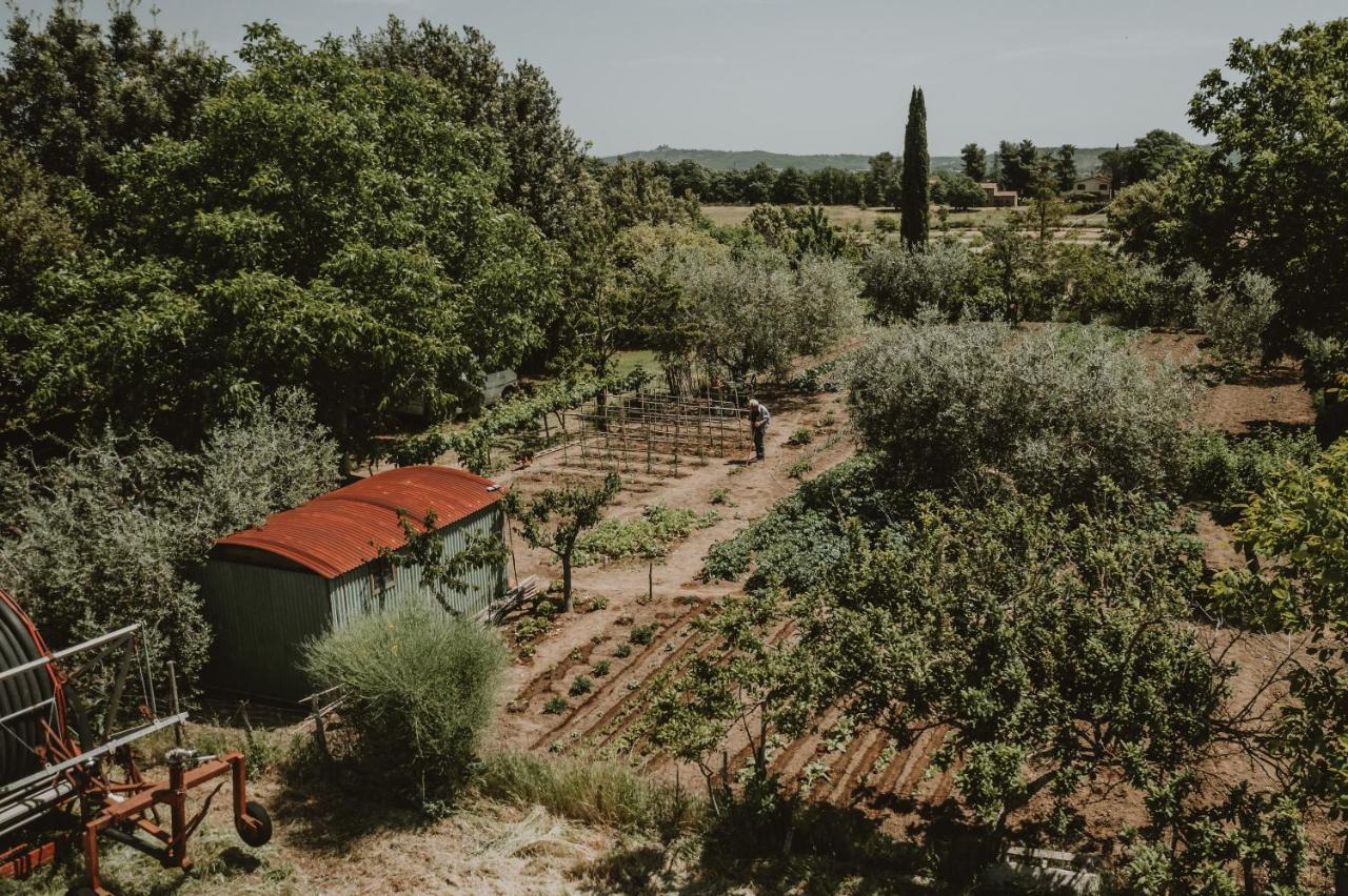 Agriturismo Cerqueto 아쿠아펜덴테 외부 사진