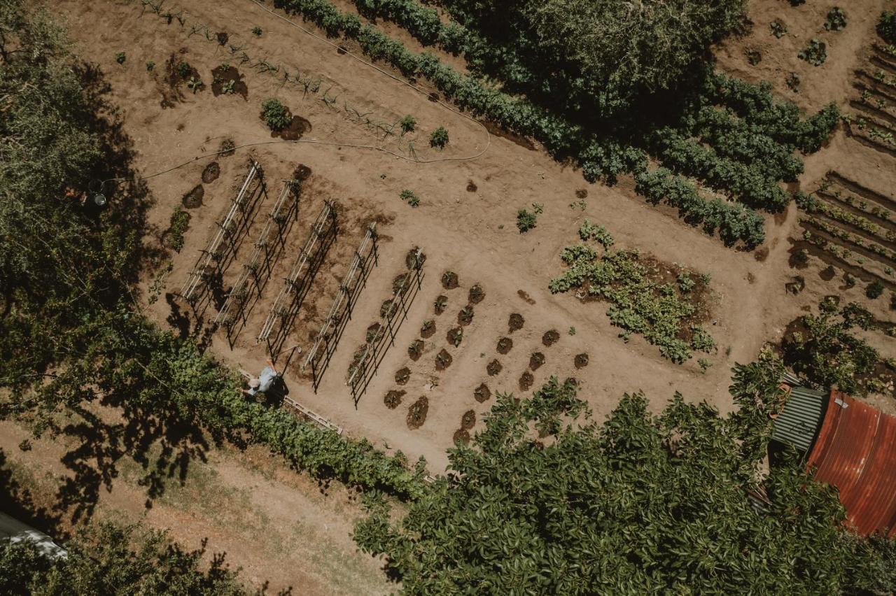 Agriturismo Cerqueto 아쿠아펜덴테 외부 사진